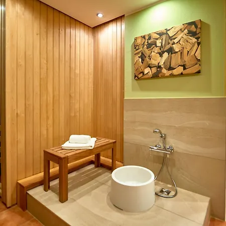 Seerose - 21 Seepferdchen Sellin (Rugen)