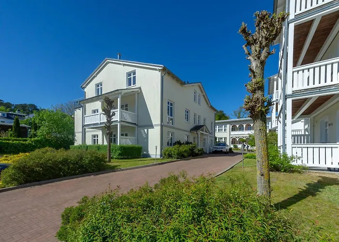 Seerose - 21 Seepferdchen *